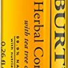 Burt's Bees Herbal Blemish Stick