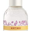 Burt's Bees Renewal Intensive Firming Face Serum