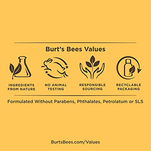 Burt's Bees Renewal Intensive Firming Face Serum