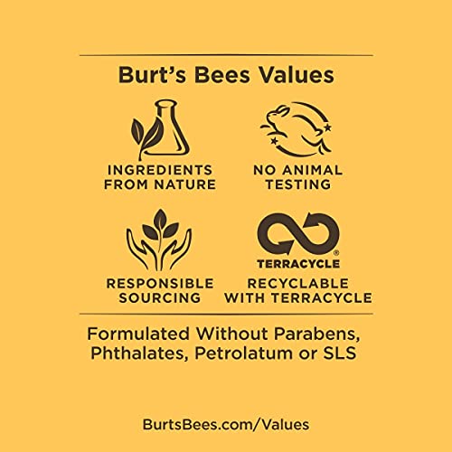 Burt's Bees Sensitive Facial Cleansing Towelettes