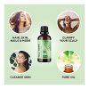 100% Tea Tree Oil Pure - Tea Tree Essential Oil for Skin