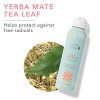 Get all-day protection from the sun with 100% PURE Yerba Mate Mist SPF 30!