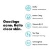Purifying Acne Facial Mask and Spot Treatment