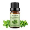 Peppermint + Lavender Essential Oil Set for Diffuser