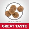 Hill's Science Diet Dry Cat Food, Adult, Sensitive Stomach