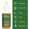 Rosehip Scar Oil: Nourish and Fade Scars for Radiant Skin