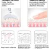 Belle Nourish Rejuve Bella Face Neck Eye Lifting - Image 6