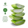 Aloe Brightening Skin Cream with 80% Pure Aloe – Hydrate & Brighten Skin Tone