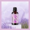Pure Lavender Oil Essential Oil - Premium Therapeutic Grade