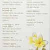 Natural Skincare Bamboo Firming Fluid - Radiant Skin with Coconut and Retinol Boost, 1.2 Ounce
