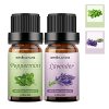 Peppermint + Lavender Essential Oil Set for Diffuser