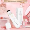 Misiki Facial Deep Cleansing and Blackhead Removal Tool