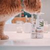 Vitamin C Skin Care Bundle - Face Wash, Skin Toner