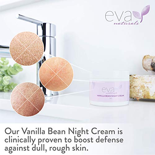 Vanilla Bean Night Cream by Eva Naturals (2 oz)