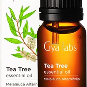 Gya Labs Tea Tree Essential Oil for Skin Care and Hair Care