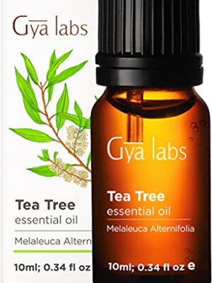 Gya Labs Tea Tree Essential Oil for Skin Care and Hair Care