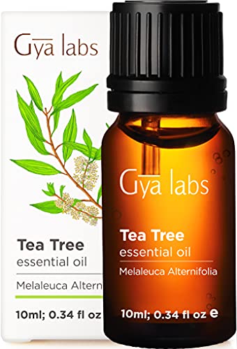Gya Labs Tea Tree Essential Oil for Skin Care and Hair Care