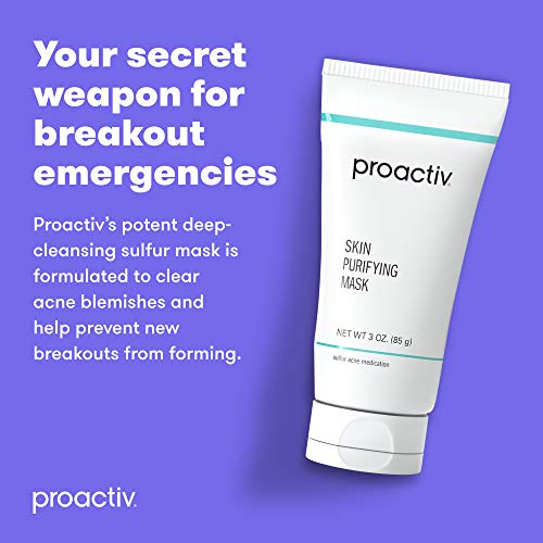 Purifying Acne Facial Mask and Spot Treatment
