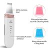 Skin Scrubber Skin Spatula Blackhead Remover Pore