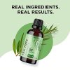 100% Tea Tree Oil Pure - Tea Tree Essential Oil for Skin