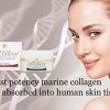 Salcoll Collagen - Anti-Aging Marine Collagen Face Cream
