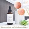 Eva Naturals Vitamin C Plus Toner (4oz) - Anti-Aging Facial Spray
