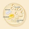 IT Cosmetics Confidence in a Cream - Anti-Aging Facial Moisturizer - Image 4