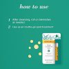 Burt's Bees Herbal Blemish Stick