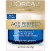 L'Oreal Paris Skin Care Age Perfect Night Cream