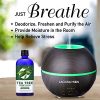 Premium Grade 100% Pure Tea Tree Essential Oil - Lagunamoon's 5 oz Bottle for Your Skin, Hair, Aromatherapy, and More