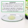 Vitamin C Serum for Face - Anti Aging Facial Serum
