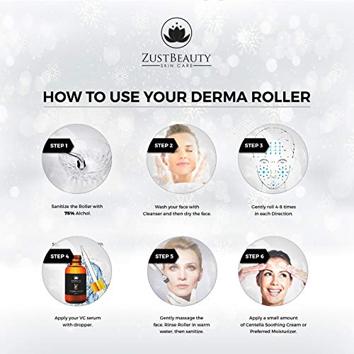 ZUSTBEAUTY | Derma Roller Kit With Organic Vitamin C Serum