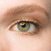 Julep Eyeshadow 101: Waterproof Glam in a Stick for Effortless Champagne Shimmer