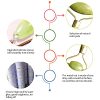 Gua Sha Set Jade Pattern, Resin Guasha Facial Lifting Tools