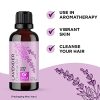Pure Lavender Oil Essential Oil - Premium Therapeutic Grade