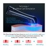 Advanced LED Light Therapy Skin Revitalizer for Youthful & Radiant Skin