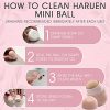 Haruen Original Oil Absorbing Volcanic Rock Roller Oily Skin