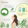 Gya Labs Tea Tree Essential Oil for Skin Care and Hair Care
