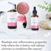 Eva Naturals Pure Rosehip Seed Oil (2oz)