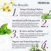 Antifungal Soap and Antibacterial Body Wash
