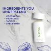 Native Deodorant: Pure Odor Protection with Probiotics, Vegan, and Cruelty-Free