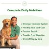 Vet-Formulated Powder Supplement for Dogs