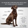 DIAMOND CARE Grain-Free Formulation Adult Dry Dog Food