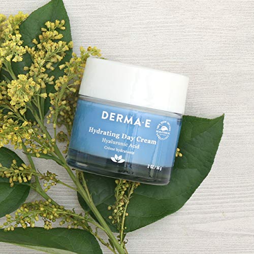 DERMA-E Hydrating Day Cream with Hyaluronic Acid