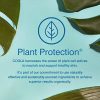 COOLA Organic Sunscreen, Sunblock Spray