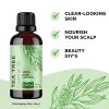 100% Tea Tree Oil Pure - Tea Tree Essential Oil for Skin