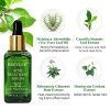 BREYLEE Tea Tree Clear Skin Serum – Powerful Acne Treatment with Camellia Sinensis Extract