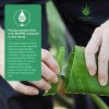 Aloe Brightening Skin Cream with 80% Pure Aloe – Hydrate & Brighten Skin Tone