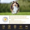 SkinHealth Soft Chews - Omega-Rich Dog Supplement for Itch-Free Skin, Shiny Coats, and Reduced Shedding - 90 Count