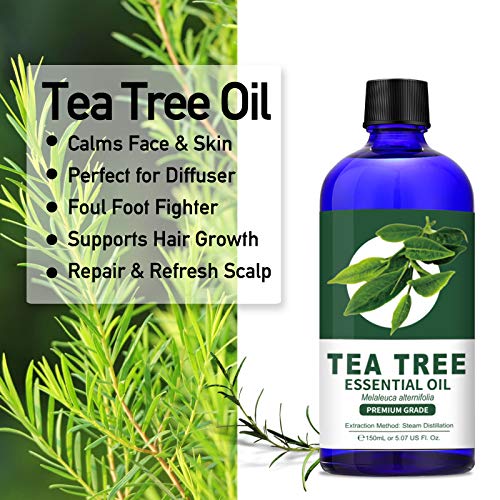 100% Pure Tea Tree Essential Oil (Large 5 oz)